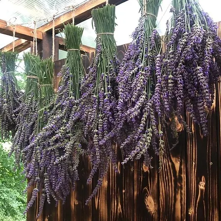 Glamping Nad Meandry *