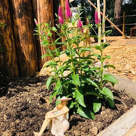 Luxusní stan Glamping Nad Meandry *