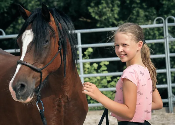 Campo de lujo Glamping Nad Meandry