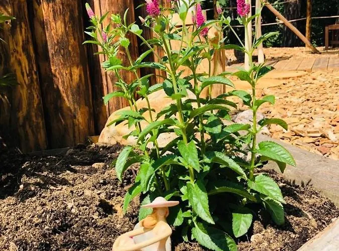 Campo de lujo Glamping Nad Meandry *